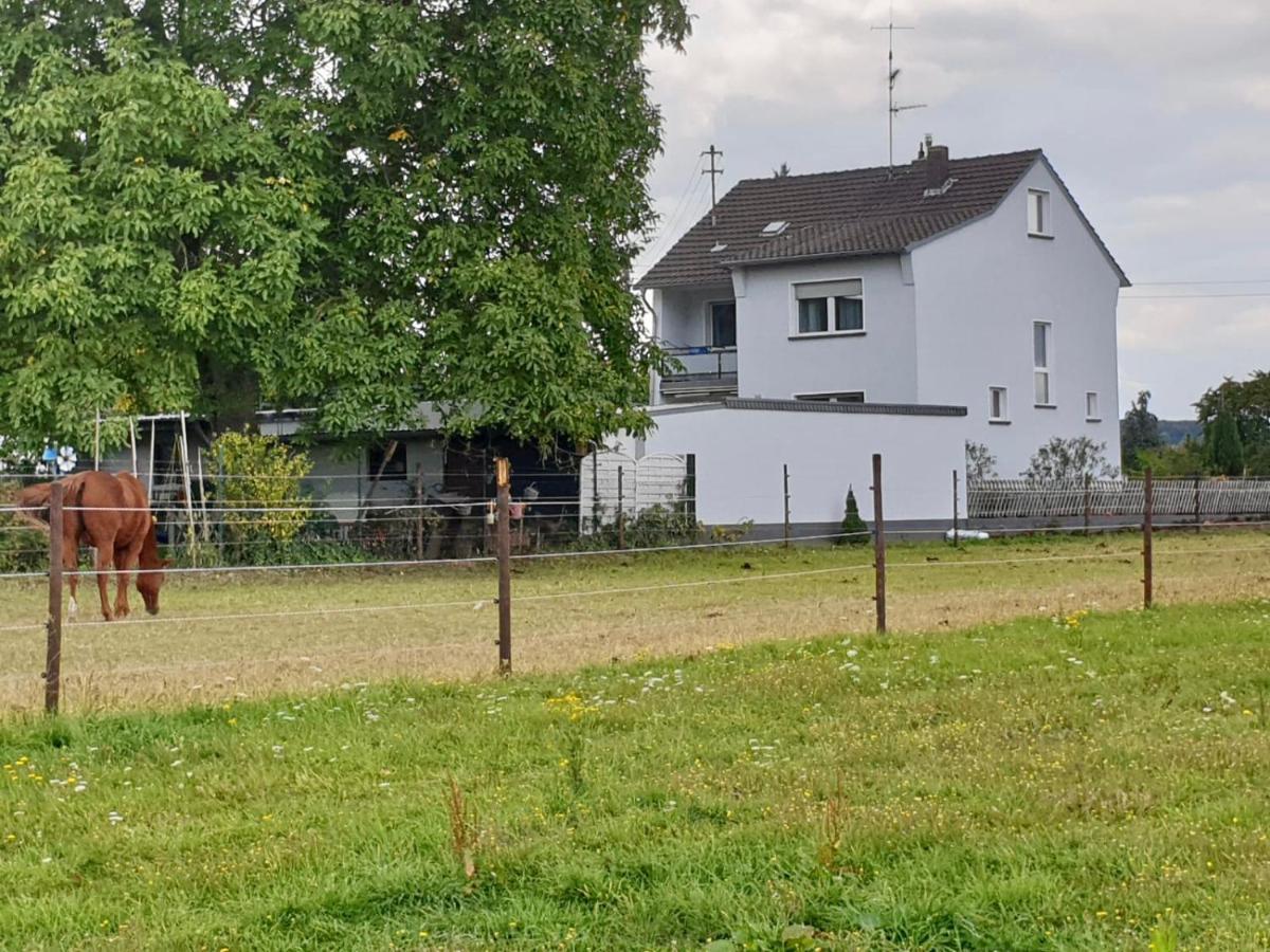 Villa Haus Im Gruenen à Bornheim  Extérieur photo
